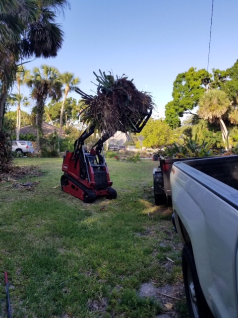 Mark Douglas Lawncare - Bush Hogging